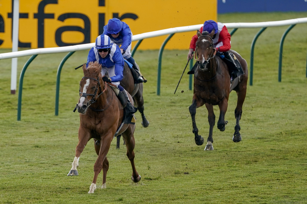 Mohaafeth is a leading player in the Juddmonte International Stakes