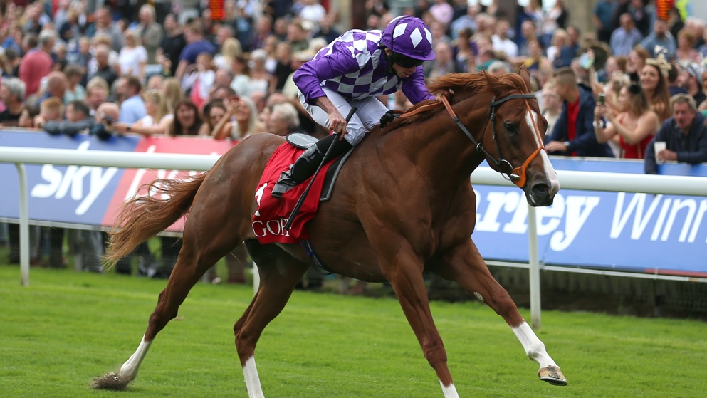 Mums Tipple was a devastating 11-length winner of a valuable sales race at York last summer.