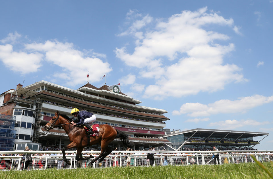 RaceOlly has five bets on Saturday.