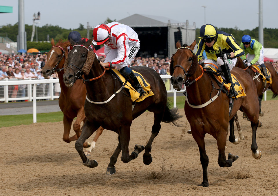 Northumberland Plate tips: