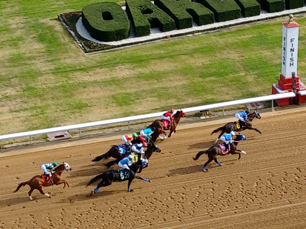 Oaklawn Schedule 2022 Southwest Stakes 2022 Entries & Post Positions | Horseracing.net