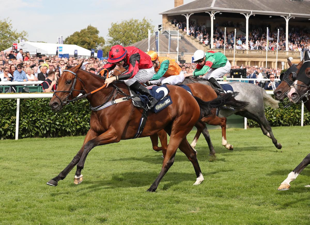 Oxted won the July Cup on his most recent outing at Newmarket.