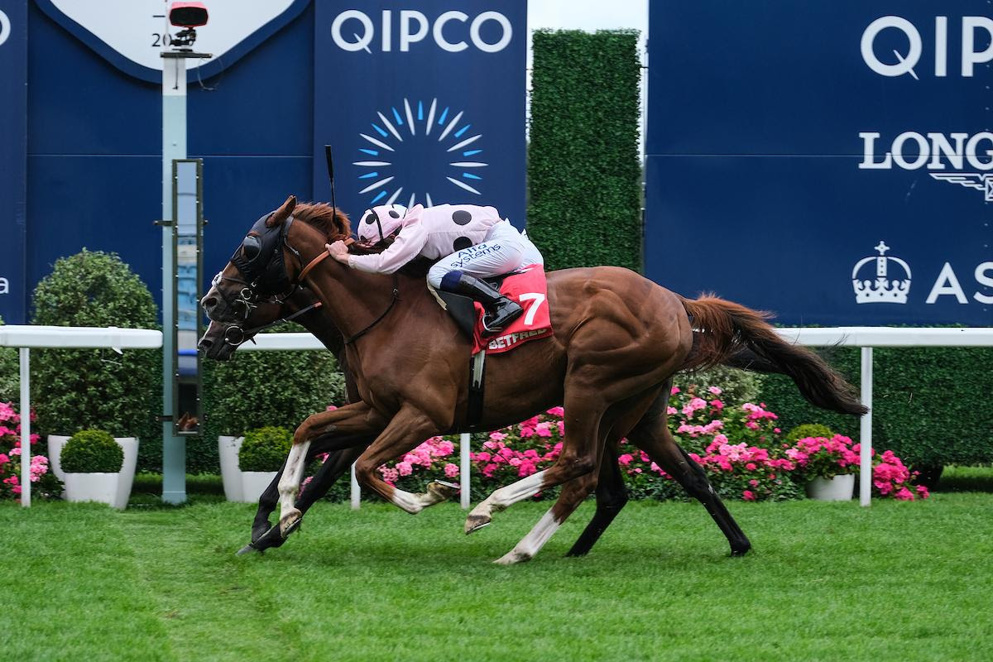 Today's Horse Racing Tips: Chris Baker has four bets at Ascot on Shergar Cup day.