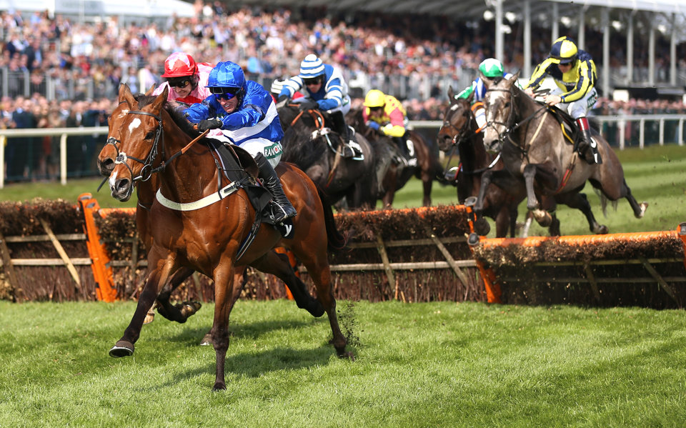 Reserve Tank won the 2019 Mersey Novices' Hurdle for the Colin Tizzard team.