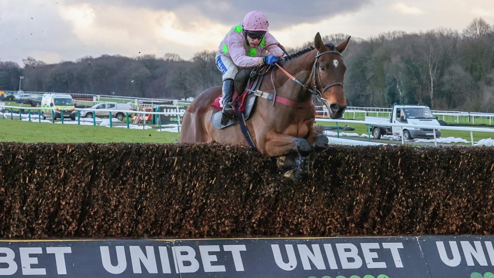 king george vi chase 2021 ante post tips odds horseracing net