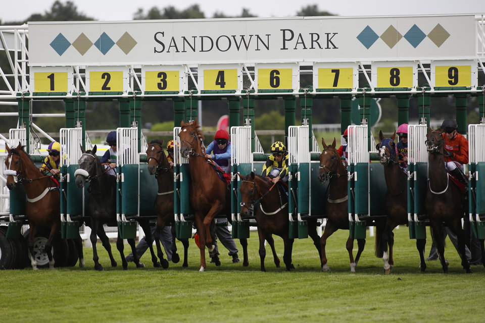 Find horse racing tips for York, Sandown and Newton Abbot this weekend...