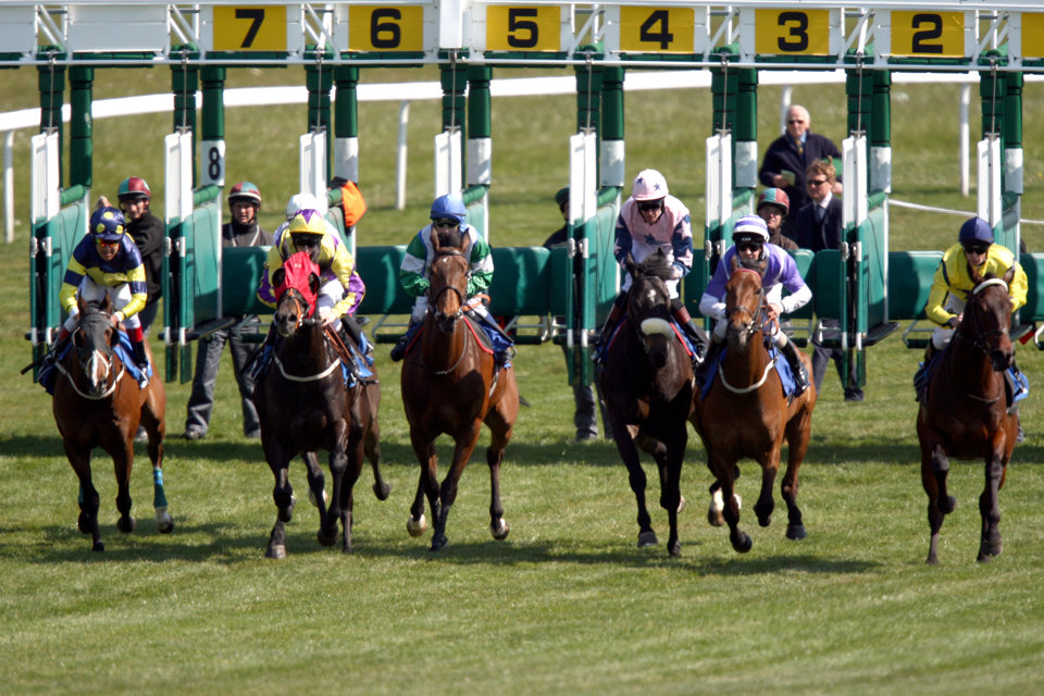 Today's Horse Racing Tips: Steve Chambers has three bets at Bath on Wednesday.