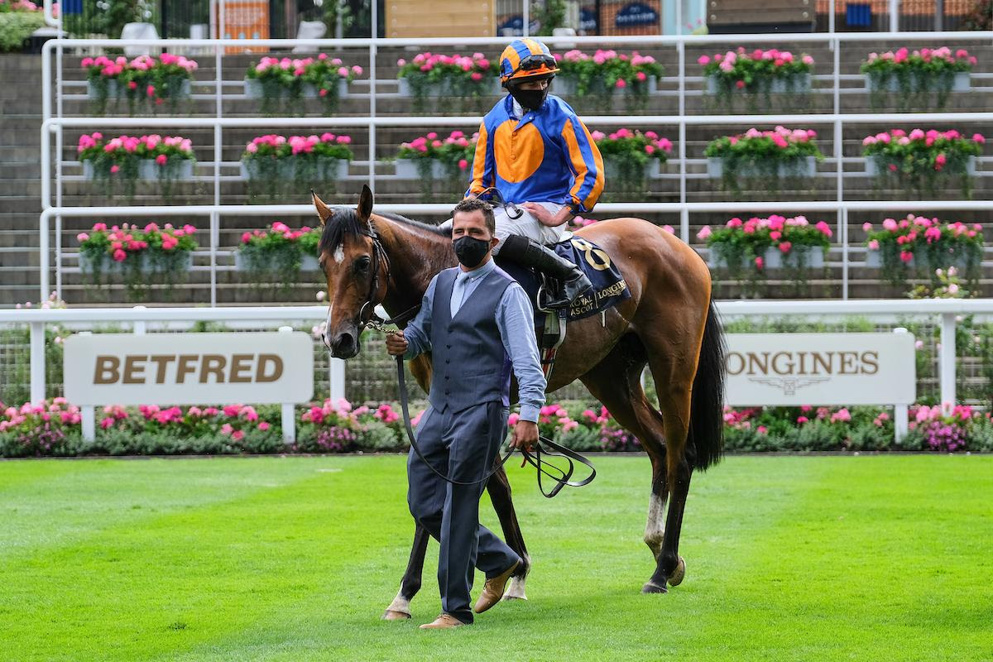 Santiago was a sparkling winner at Royal Ascot earlier in the season.