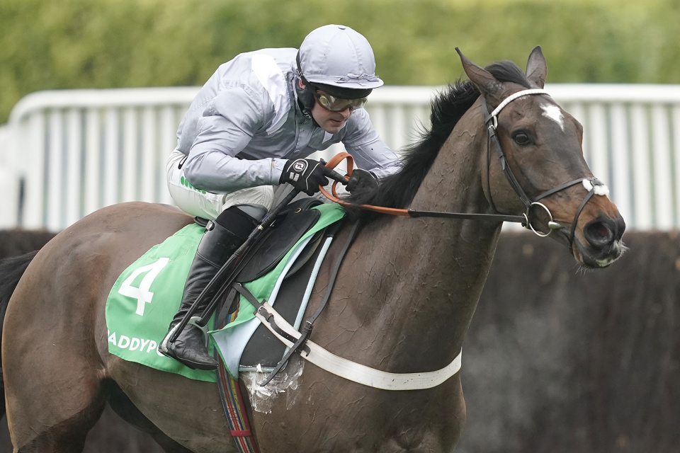Former Cheltenham Gold Cup runner-up Santini is a big price for the Grand National.