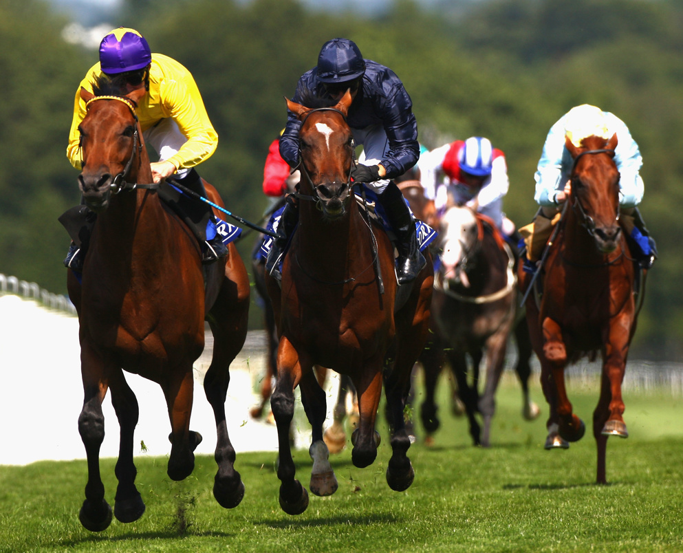 Sea The Stars was an iconic winner of the Eclipse back in 2009