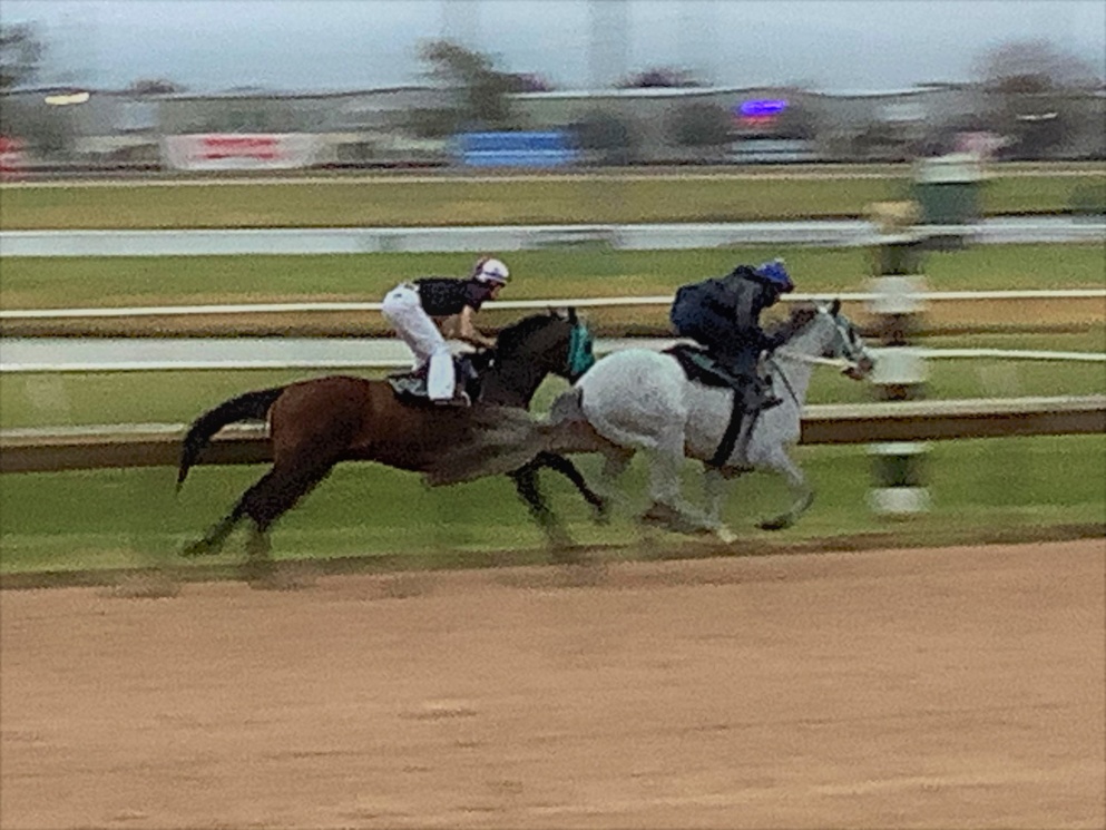 Senor Buscador (inside), trained by Todd Fincher and ridden here by jockey Ty Kennedy, works on Friday at Sam Houston Race Park. Fincher confirmed that a minor injury has sidelined the colt. He will be back at some point in the future.