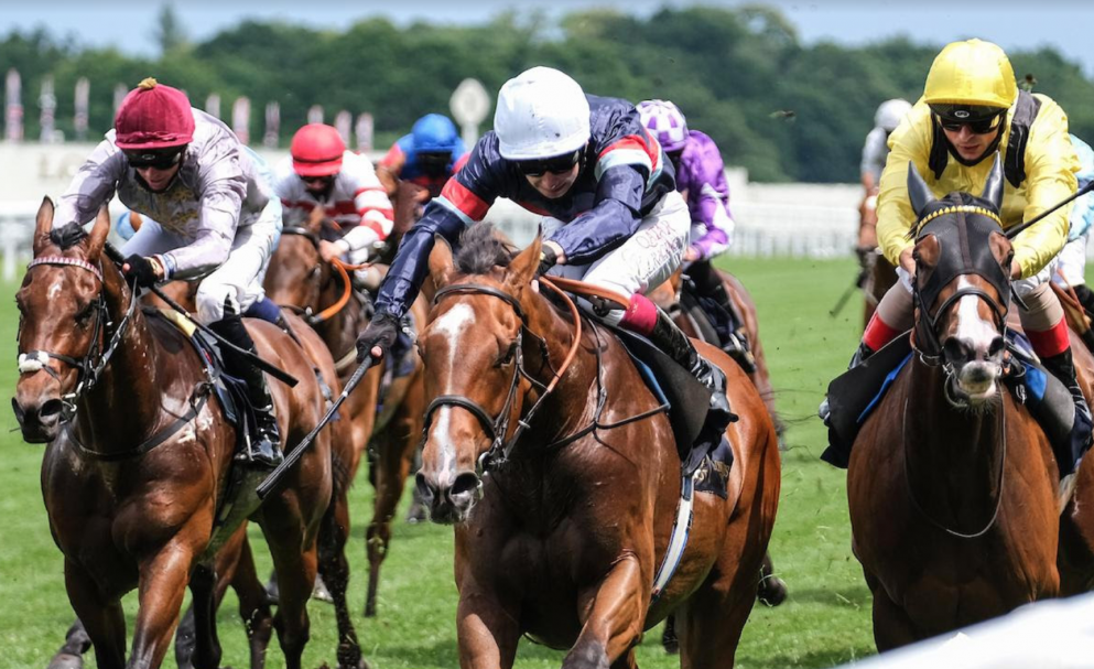 Victoria Cup Tips: A bumper field will do battle in this Ascot contest