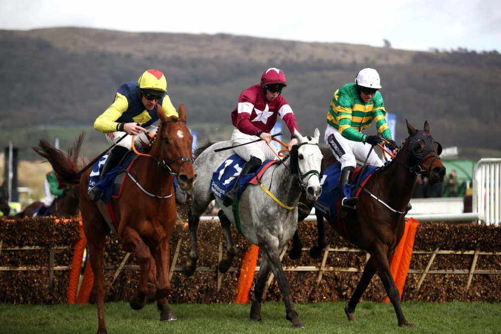 Sire Du Berlais bids for a third win in the Pertemps Final