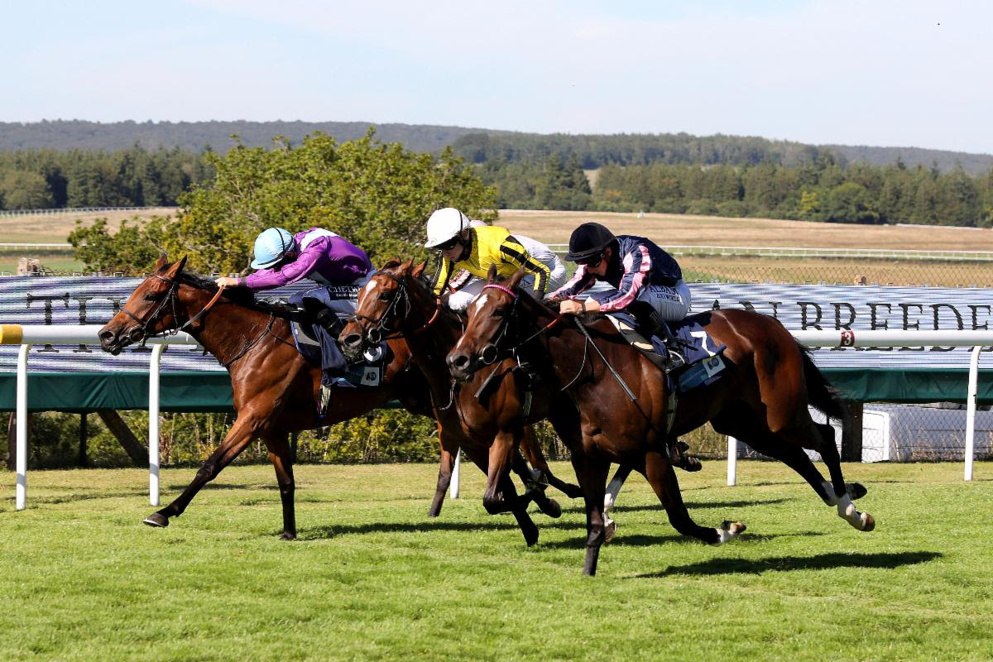 The Stewards' Cup is one of the most competitive handicaps of the season.