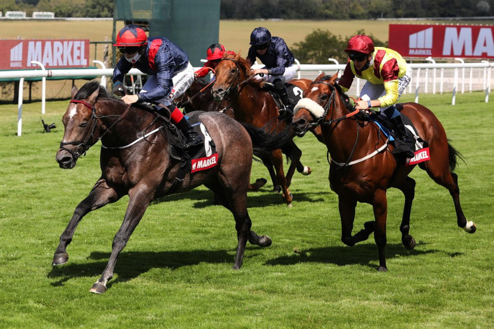 Check out RaceOlly's best bets at Goodwood on Friday