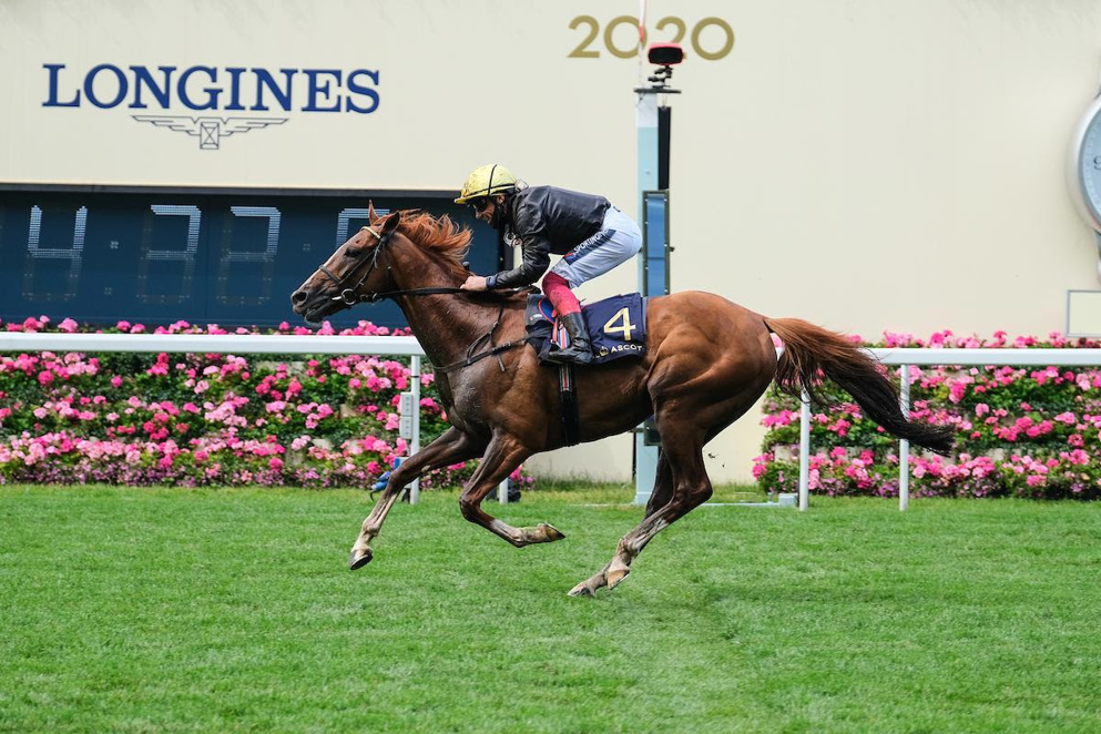 Prix de l'Arc de Triomphe Tips: Stradivarius has won the last three Gold Cups at Royal Ascot.
