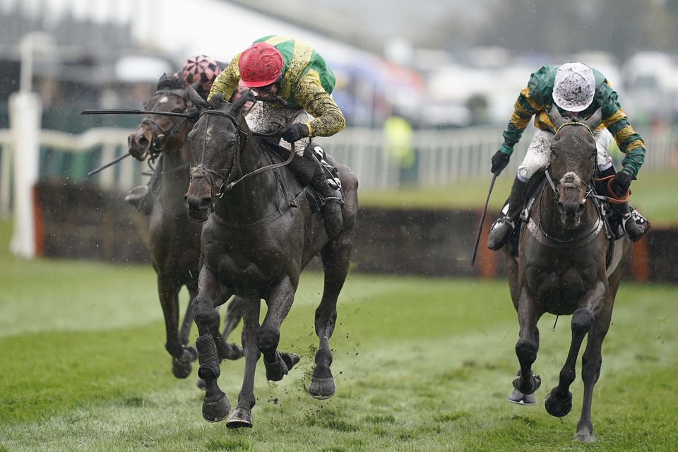 Supasundae thwarted dual Champion Hurdle-winner Buveur d'Air to win the 2019 Aintree Hurdle.