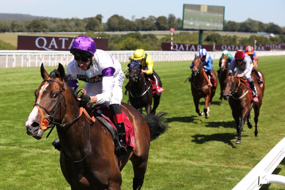 Sprint Cup Stakes Tips: Former Group 1-winning juvenile can shine at Haydock.