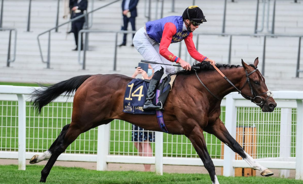 Tactical followed up last month's Windsor Castle win with an impressive performance in Thursday's Group 2 July Stakes.