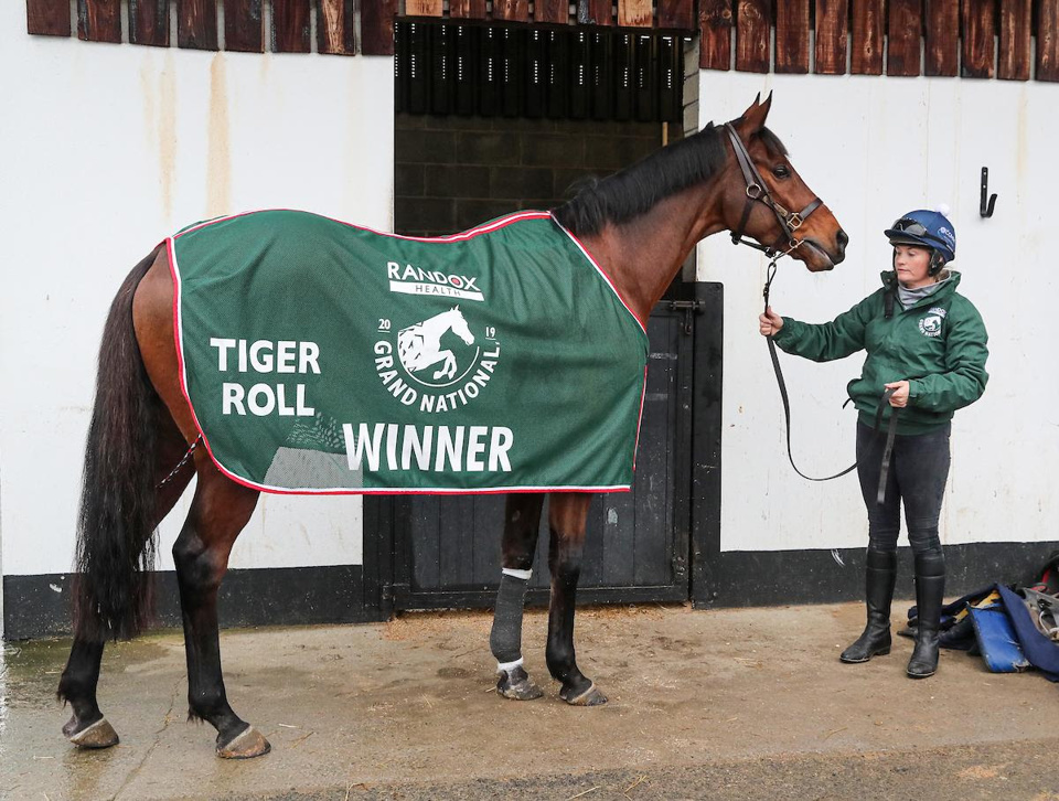 Tiger Roll At Elliotts Stable