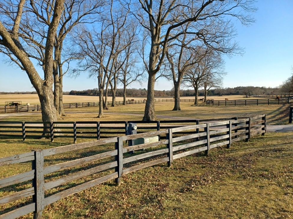 Valor Farm is a showplace, sitting on almost 400 acres north of Dallas-Ft. Worth ... The pastures are home to Thoroughbreds, but it's also Donny Denton's territory as he watches over a massive breeding operation.