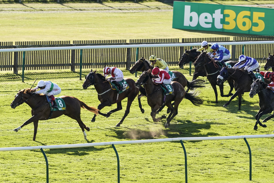 Check out our best bets on Cambridgeshire day at Newmarket on Saturday.