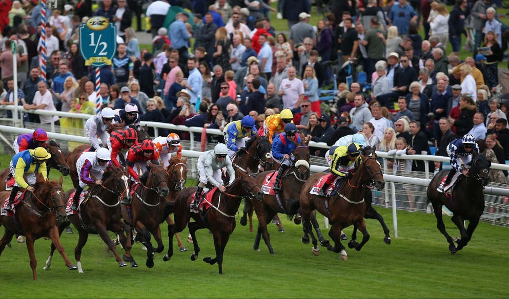 Dante Festival Day 1 Tips: We have some top tips for York's racing on Wednesday.
