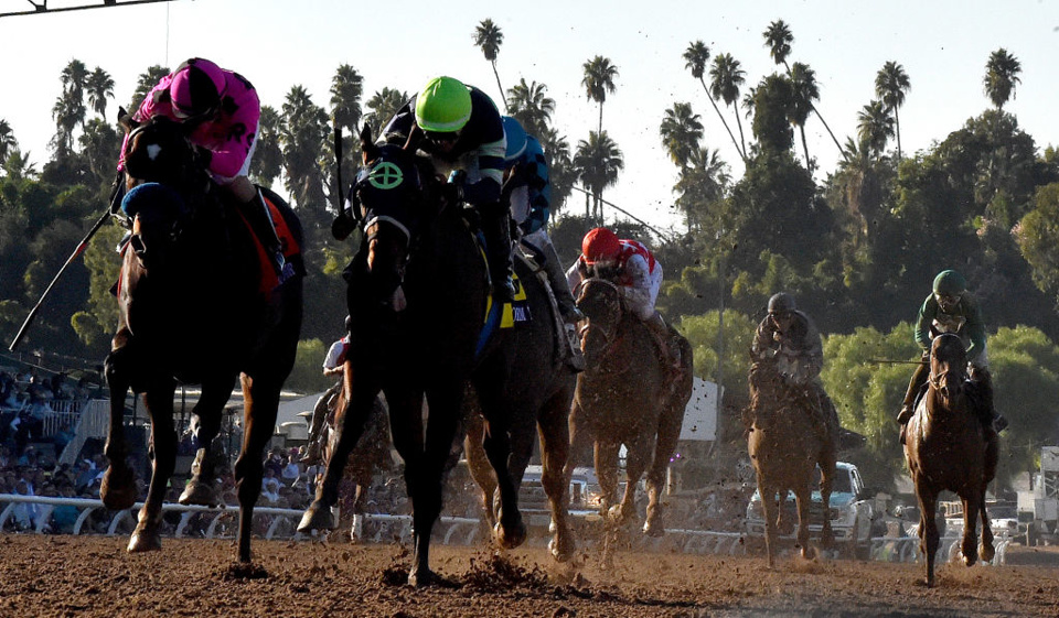 There's graded action at Gulfstream Park this evening.