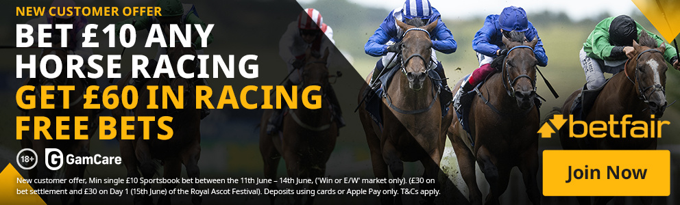 Designs 79687pre Ascotofferhorse Racingglobalvi992x300uk