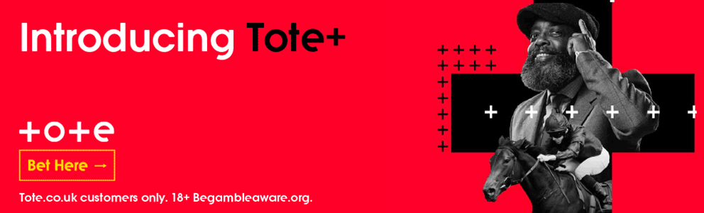 Tote Tote Plus 992x300
