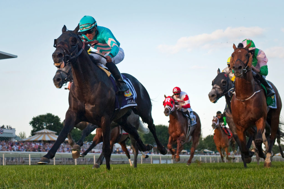 Storied Arlington Park, that palace in Chicago, closed last year ... Owners Churchill Downs Inc. will host a Saturday card honoring the famed race. Here is a Horse-by-Horse Guide after the draw!