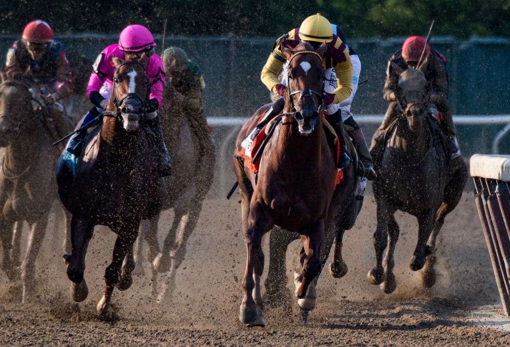 belmont park picks horse racing analysis for june 19 horseracing net