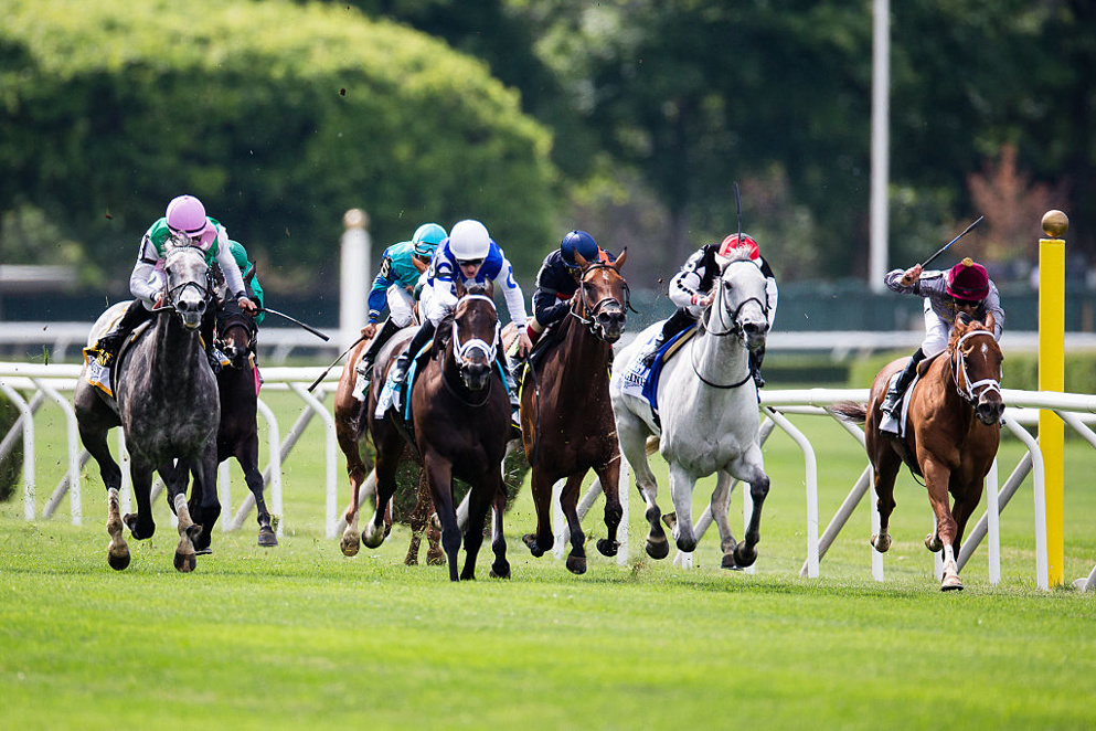 belmont park picks betting analysis for september 19 horseracing net