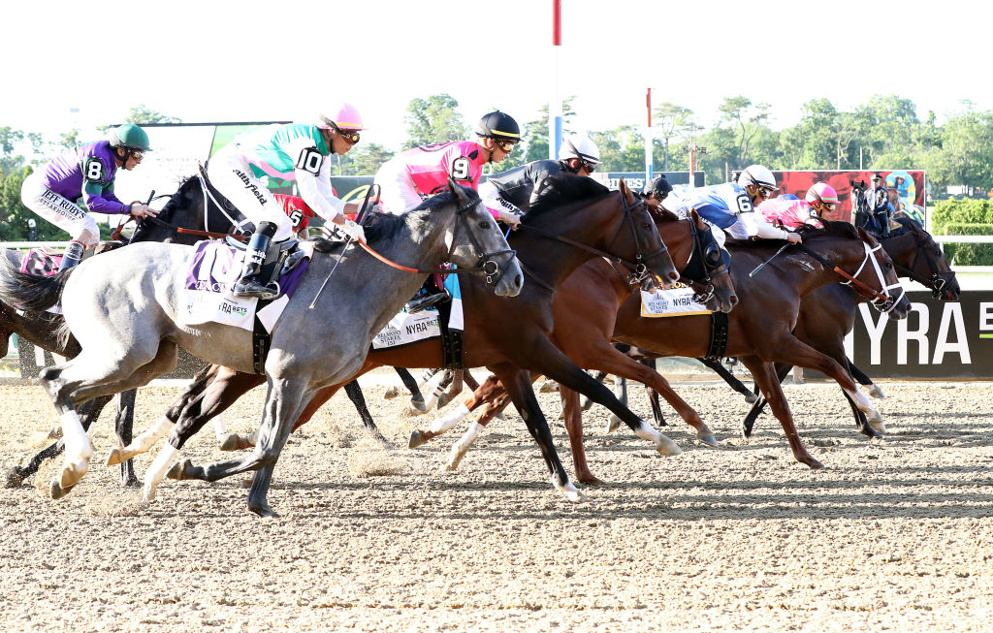 belmont park picks late pick 4 handicapping for october 31 horseracing net