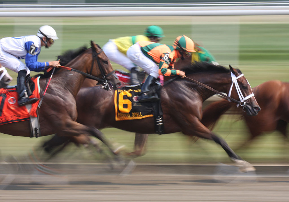 Mountaineer has a Sunday card for your viewing pleasure! Have a look at this best kept secret ...