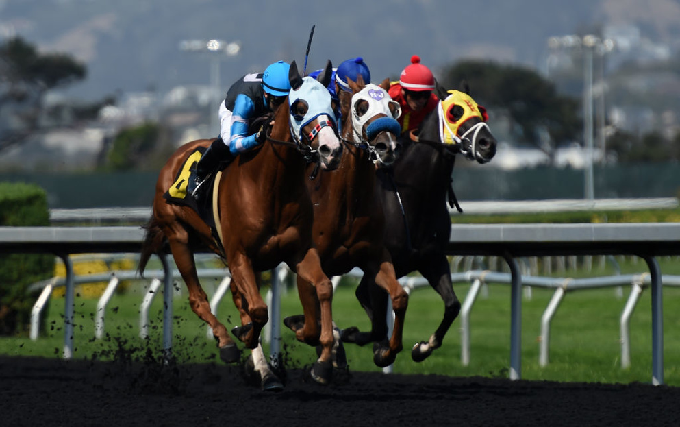 Todd Pletcher's Sainthood came through the Derby prep scene at Turfway Park and that isn't expected to harbor a winner
