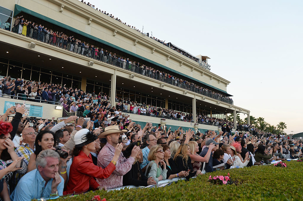 gulfstream park picks late pick 4 analysis for march 5 horseracing net