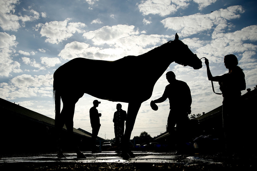 The horses are back on the track at historic Churchill Downs ... A Thursday card arrives, and we have your handicapping picks, and some targeted analysis! Have a look ...