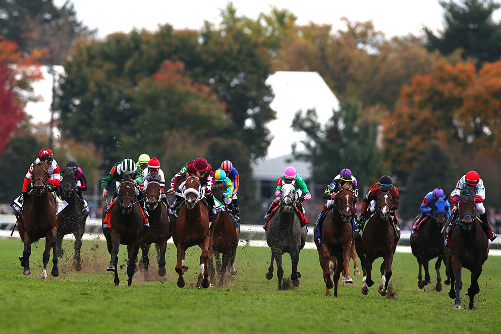The Haggin Turf Course is ready ... are you? How about the Main Track? It is the place to be too! Enjoy another run, as we head towards Closing Day!