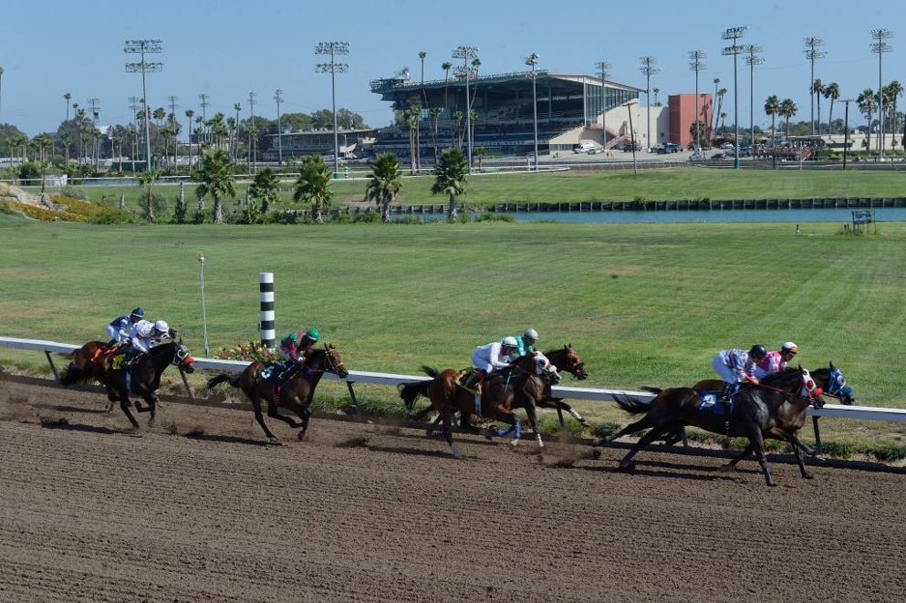 The Grade 2 Los Alamitos Futurity is upon us ... check out this preview for Saturday's contest!
