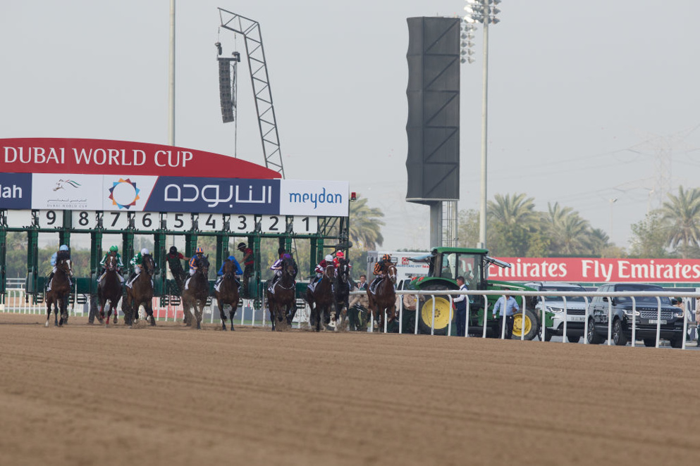 Summer Is Tomorrow made to into the race following second place at the UAE Derby