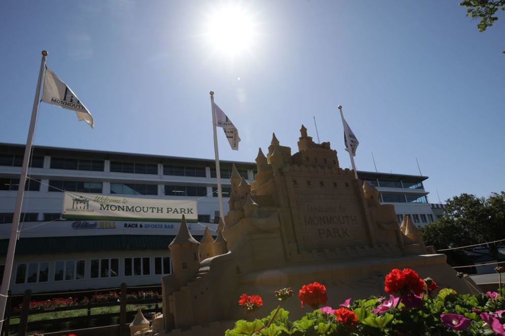 Monmouth Park will once again host the Grade I Haskell Invitational Stakes. The card boasts a strong group of races ... see what our turf-man thinks of it all.