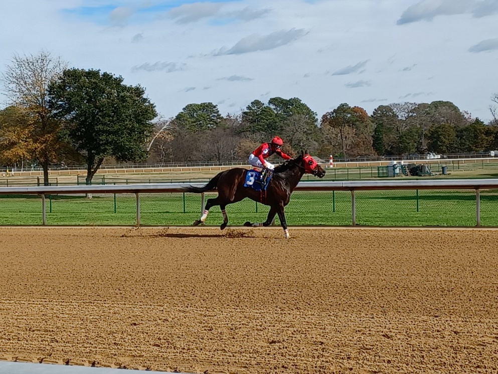 Oaklawn Park on New Year's Day? Nothing better ... Enjoy the featured Smarty Jones S., a full race analysis can be found below!