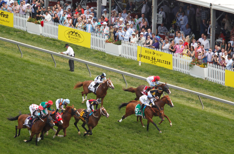 The .20 Pick 6 on Friday at Pimlico Race Course has a stacked line-up ... It is capped by the running of the Black-Eyed Susan. A Grade 2 event, it might be one of the best races to bet this weekend! Check out this ticket, along with our customary free picks below ...