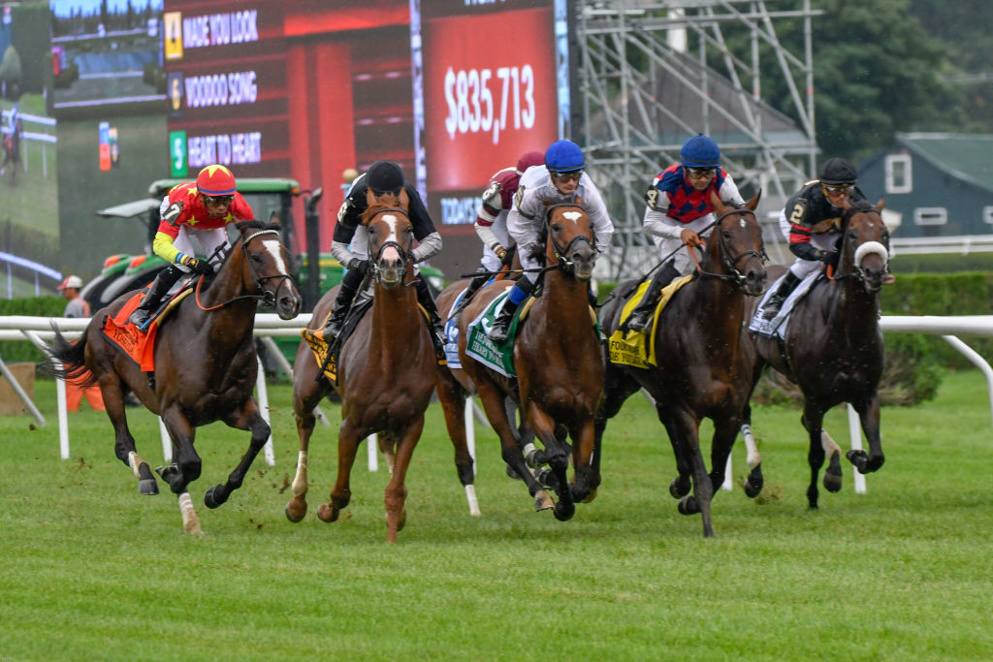 The New York Stallion Series is comprised of a number of stakes races that crown the very best that the New York breeding program has to offer. With a 'feature' on the Thursday card, we have you covered with all of our free picks!