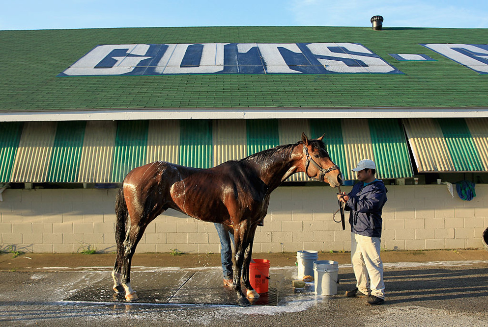 This week at Churchill Downs has seen some inordinately high temps ... Check out these hot picks, along with some targeted analysis below!