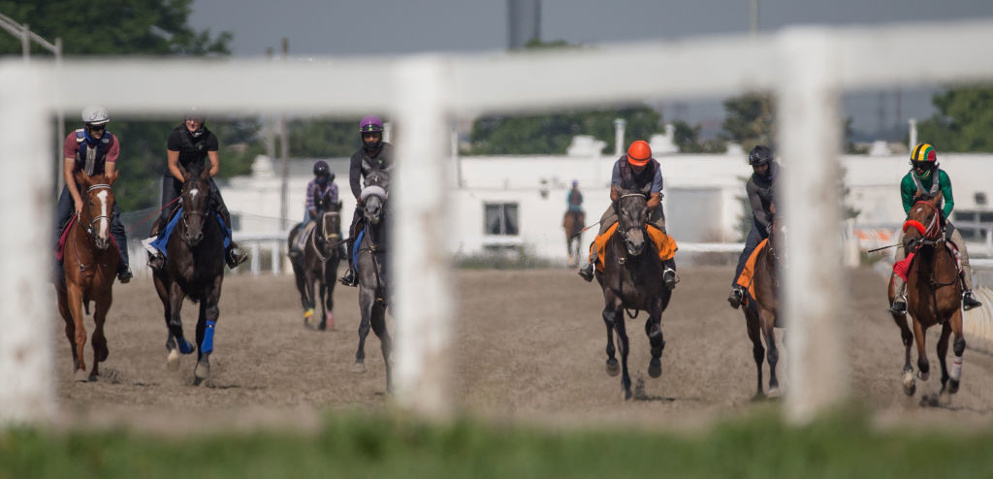 Woodbine had a huge handle for their Mile weekend ... Read J.N. Campbell's take in this commentary piece ...